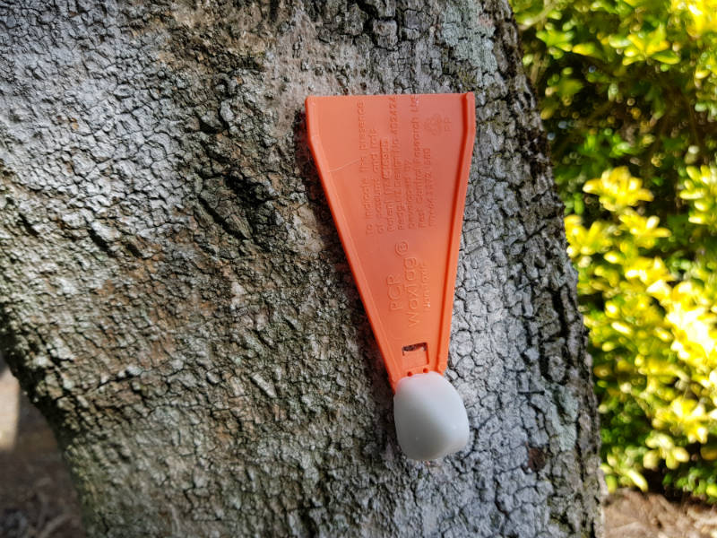A wax tag on a tree to estimate possum and rodent densities for animal pest control.