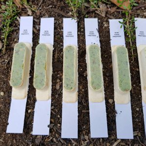 Ferafeed Striker 18g - a prefeed for possum and rodent control made from Ferafeed 213 paste in a potato starch station sitting on a backing card.