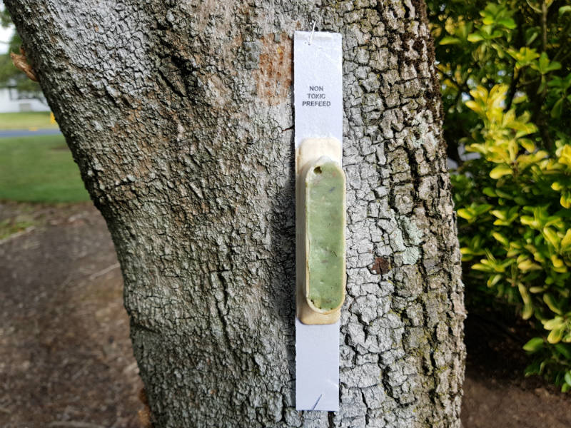 Ferafeed Striker 18g stapled onto a tree - a prefeed for possum and rodent control made from Ferafeed 213 paste in a potato starch station sitting on a backing card.