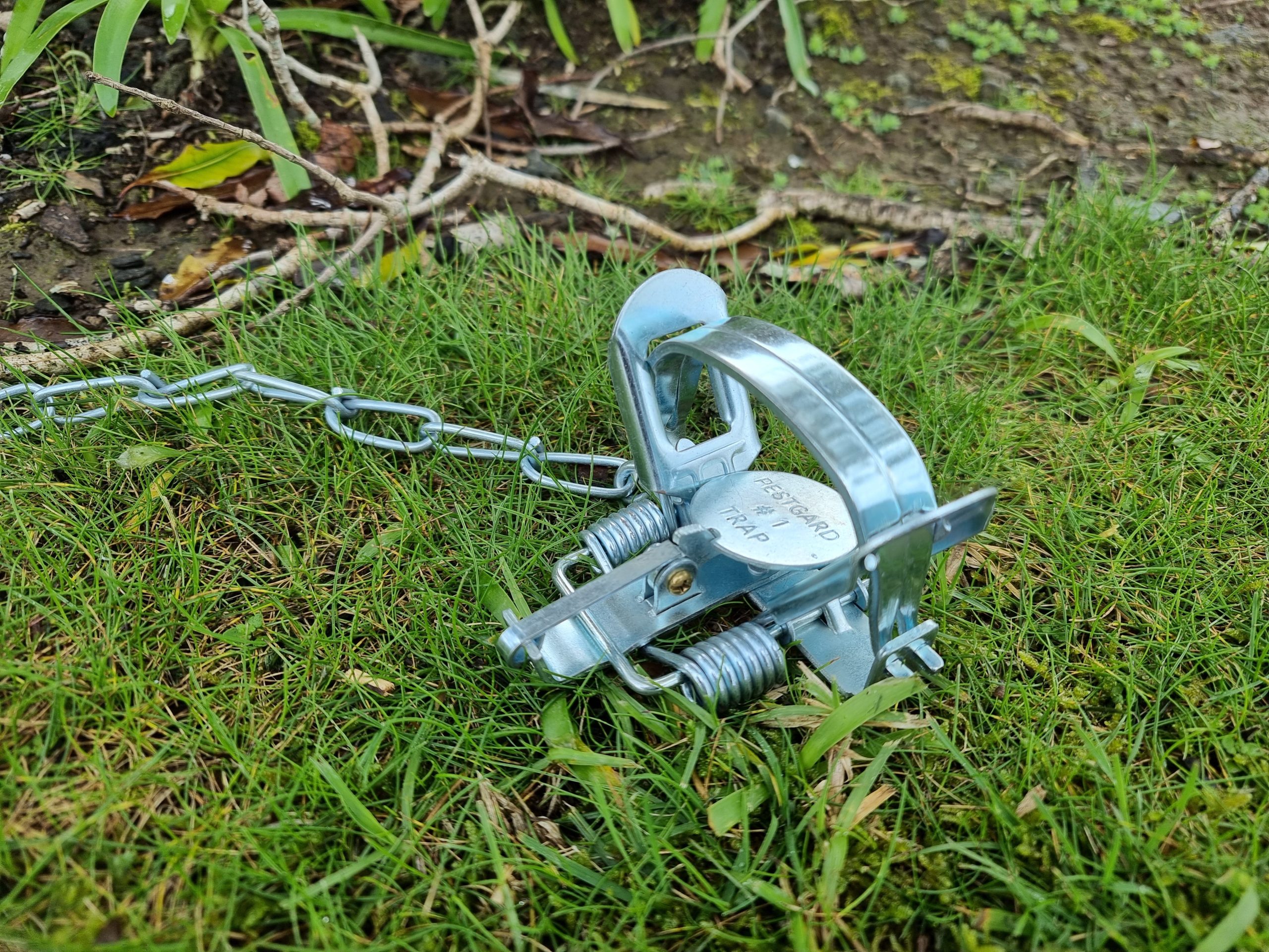 Leg Hold Trap - Image 2