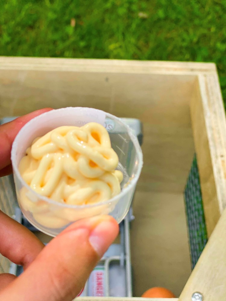 Eggsellent Lure - Image 2