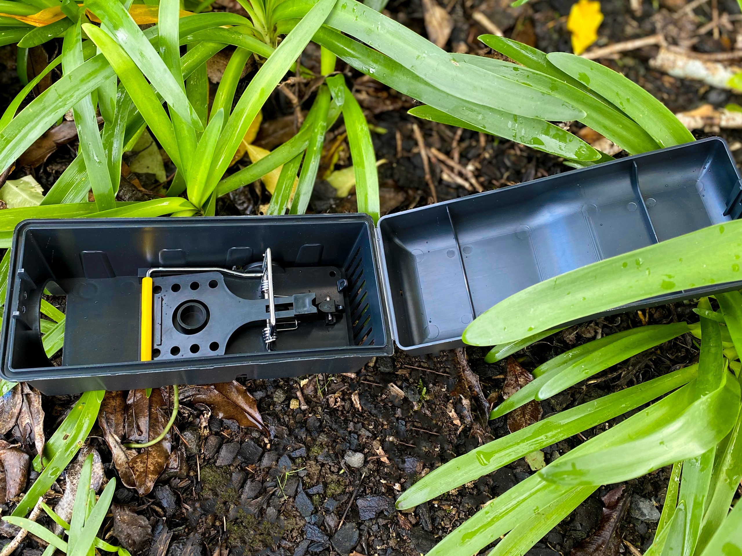 Rotech Rat Bait Station - Image 4