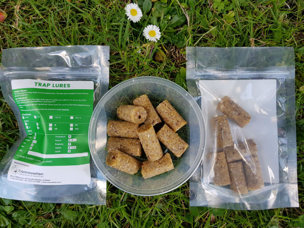 Trap Lures - 18 x 18mm for rodents