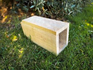 Cyclone Aftermath: Combatting the Surge in Rats with Ratabate Paste & Bait Stations