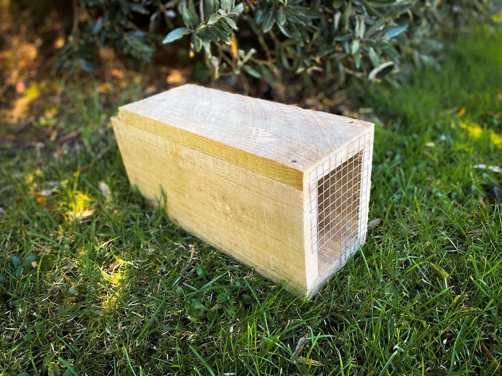 Cyclone Aftermath: Combatting the Surge in Rats with Ratabate Paste & Bait Stations