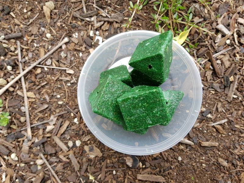 D-Block Extreme - Image 2