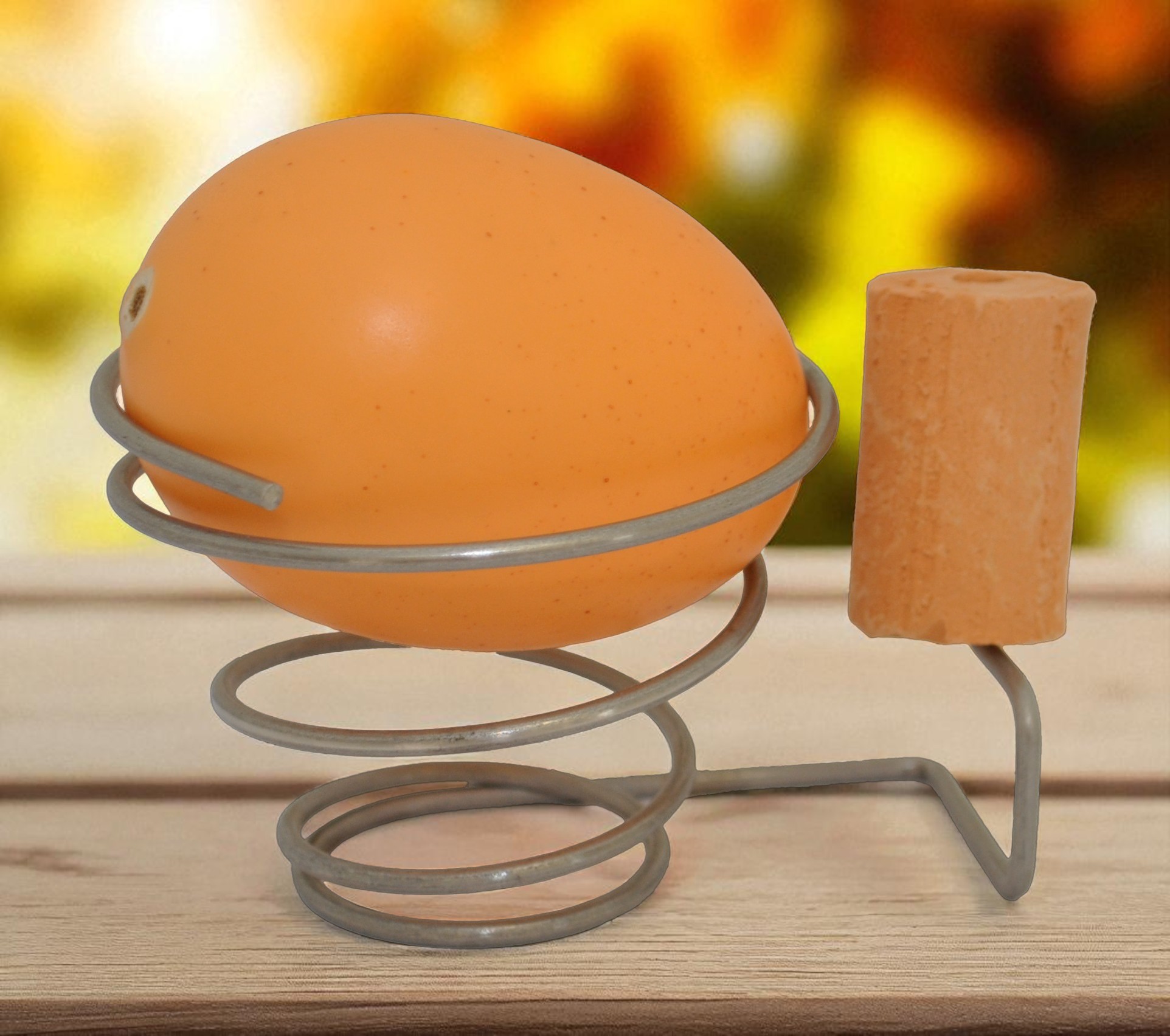 Decoy Eggs - Image 5