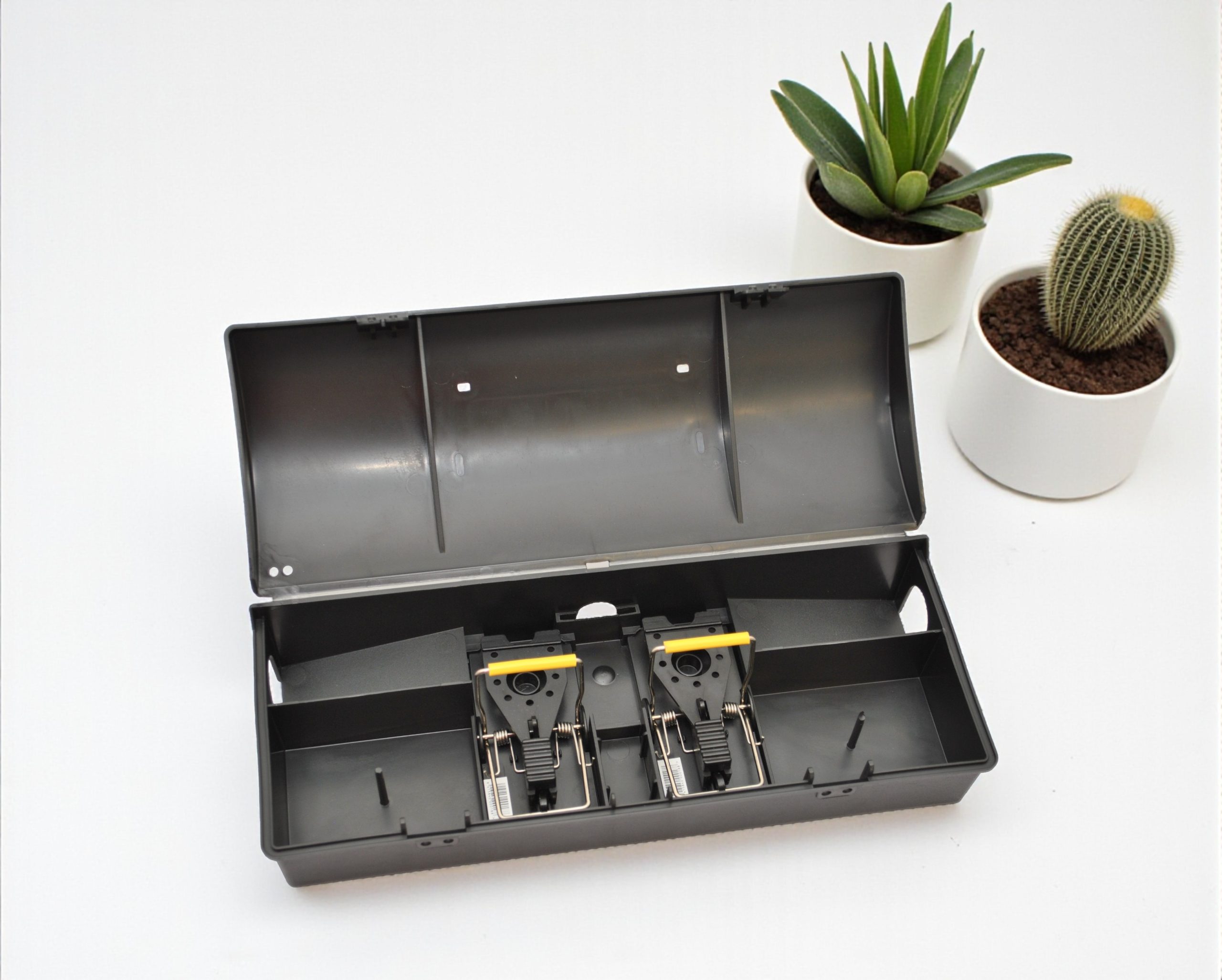 Ranger Mouse Bait Station