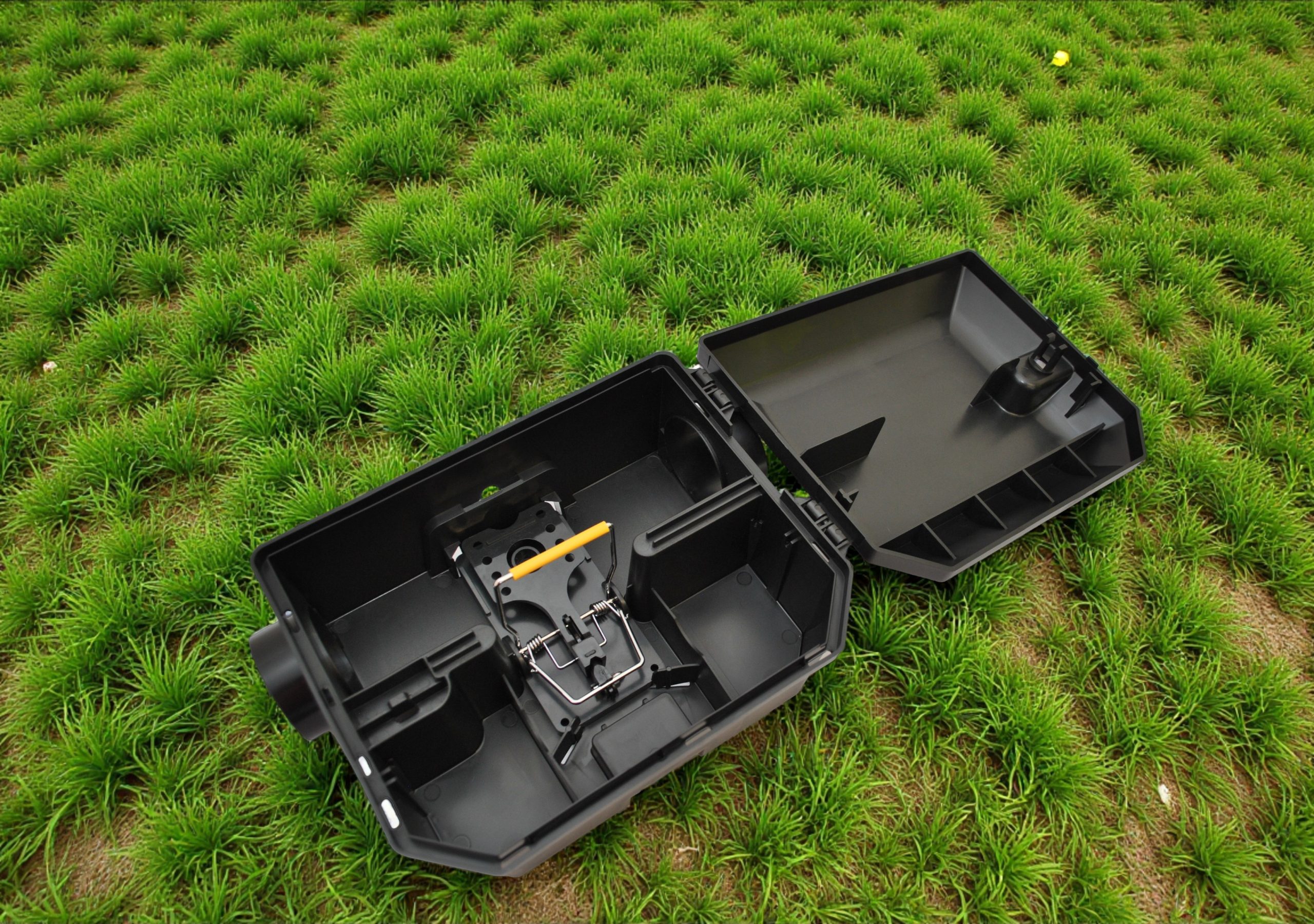 Vanguard Rat Bait Station - Image 2