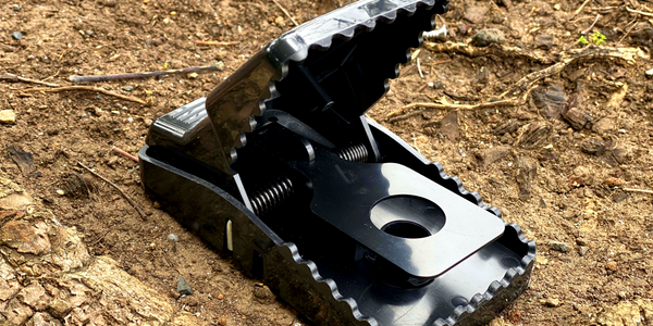 Crocodile Rat Trap - Set