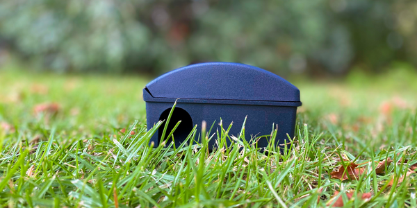 Ranger Mouse Bait Station