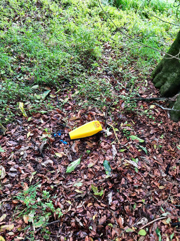 D-Rat Supervisor Max placed in a forest